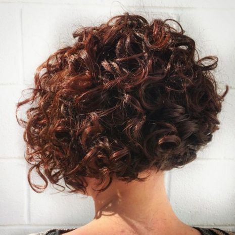 Short Curly Mahogany Bob Hairstyle