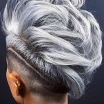 mohawk-with-shaved-stripe-shortgreyhair-shorthai