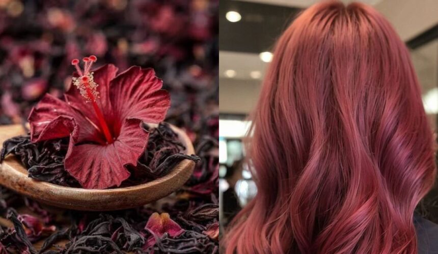 The Rise of Plant-Based Hair Colors: Why 2025 Is All About Going Green